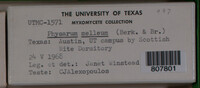Image Associated With the Occurence